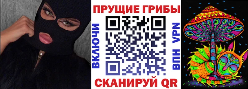 Купить  Белёв  Псилоцибиновые грибы Magic Shrooms 