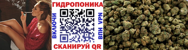 Бошки Шишки Ganja  Купить закладки  Белёв 